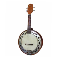 cavaco banjo